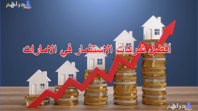 أفضل شركات الاستثمار في الامارات